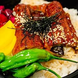 Unagi Don