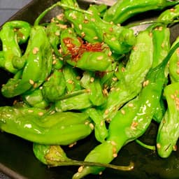 Shishito Pepper