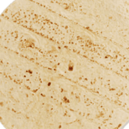 Tortilla on the Side