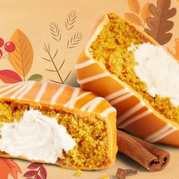 Pumpkin Spice No Name Cake