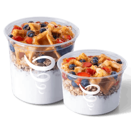 Greek Yogurt Strawberry Blueberry Waffle Bowl