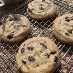 Gf Chocolate Chip Cookie